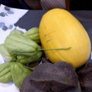 정보농장 이미지