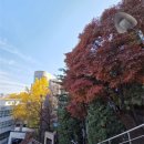 상명대학교 대학원 | 사서교육대학원: 상명대(최초합) 면접 후기