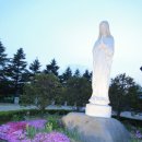 청태산목장 이미지