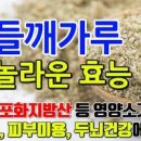 들깨가루 효능 칼로리 보관 이미지