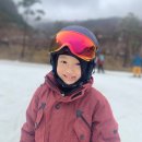 곤지암스키장 어린이 스키강습 레슨 리프트권 구매 후기