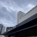 호텔(Hotel)요기 | 니가타 토에이 호텔 Niigata Toei Hotel 숙박 후기