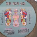 경기 성남.광주 남한산성 약사사.수어장대 (2021.12.04) 이미지