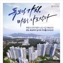 삼룡기획