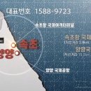 스테이 하운드 이미지