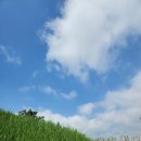 CJ소담프라자 | 소담동 전통카페 옷고시 참한 카페 분위기 👍 추우천 꾹