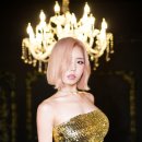 인썬 카카오 검색결과