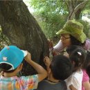 자연.이미지 이미지