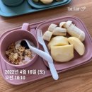 4월 일상✌ 탄수화물을 적게먹기.. 밀가루먹지않기..