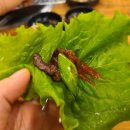 에스케이와이 이미지