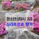 청소년상담사 3급 - 심리측정 및 평가 이미지