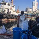 남해-252 이미지