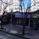 연세백마치과의원 네이버블로그