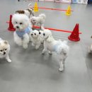 맡겨보개 이미지