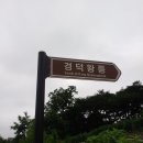내남초등학교 | 경주 신라 35대 경덕왕릉 (경북 경주시 내남면 부지리 산8 )