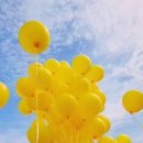 승현이네 이미지