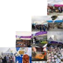 호수공원소나무숲길 | 세종축제와 푸드트럭페스티벌 다녀온 후기 !̤̮ !̤̮ !̤̮ !̤̮ !̤̮