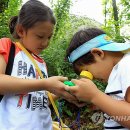 자연의소리 이미지