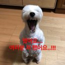 장미로92번길 이미지