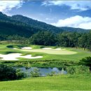 늘,파인 이미지