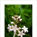 계절이 지나가는 하늘 이미지