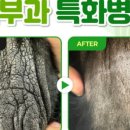 숲속동물병원 이미지