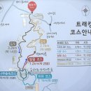 2월 정기산행(172회) 원대리 자작나무숲 트레킹(강원도 인제군) 이미지