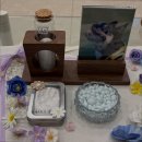 바다와푸른솔 | [광주 반려동물 장례식장] 푸른솔 모든 과정 투명하게 공개