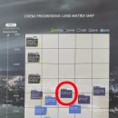 눈이랑안경 이미지