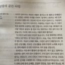 새창조 이미지