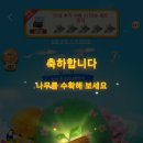 매일나무농장 이미지