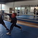 용인대W복싱짐 2호점 이미지