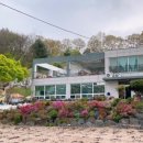 행복나무예술심리센터