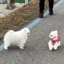 판교인생 이미지