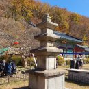 황간파출소 | 충북 영동 월류봉둘레길(월류봉광장-원촌교-석천물길-완정교-목교-우매리-반야교-반야사)원점회귀코스...