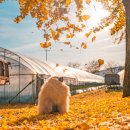 의동마을 이미지