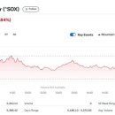 엔비디아 6% 급락에도 반도체지수는 1.8% 하락에 그쳐 이미지