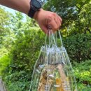 [서울/마포] 홍대 이색데이트 담금주공방 하이볼 마시면서 과일주, 약주 만든 후기🥂🍷&lt;빛나는구술&gt;