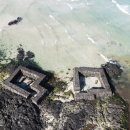 팰롱팰롱 이미지