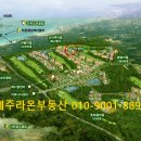 라온인테리