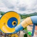 골드스파 이미지