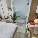 스테이 내내 이미지