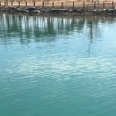 Book + Picnic 북크닉 이미지