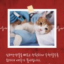 플러스동물의료센터 이미지