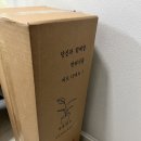 은행목 키우기 카카오톡 선물하기 앙플랜트 후기