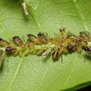 한스행정사사무소 이미지