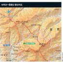잣나무 숲 이미지
