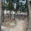 속초사잇길 제5길 네이버블로그