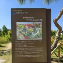 제 504회 정기 산행 경남 울산 대왕암 &amp;태화강국가 정원 십리대 숲길 트레킹(2026.10.3) 이미지
