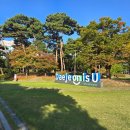 먹으러올래떡볶이 - 광주시 태봉로 50 | (내돈내산) 빵순이 빵먹으러 대전 다녀왔어요 '성심당 롯데백화점 대전점'